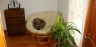 The corner of the guest bedroom looks homey - papasan chair, bookcase, and a plant. Voila.